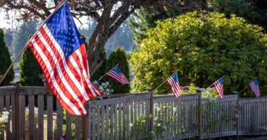 A Patriotic Home Decorating Theme