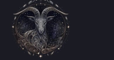 Capricorn Zodiac Sign Guide