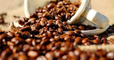 Shallow Focus of Coffee Beans on White Ceramic Cup