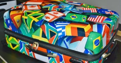 suitcase, luggage, multicoloured