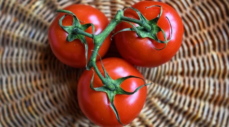 tomatoes, fruits, food