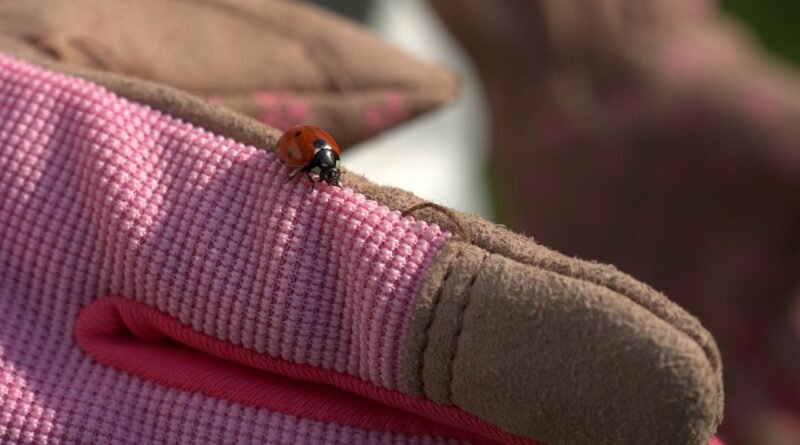 gardening, ladybug, glove