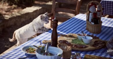 cat, table, dining table