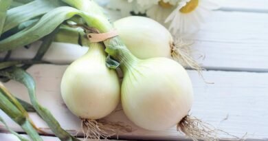 White Onions