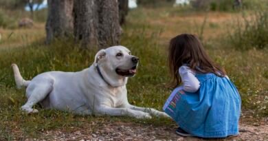 kid, dog, outdoors