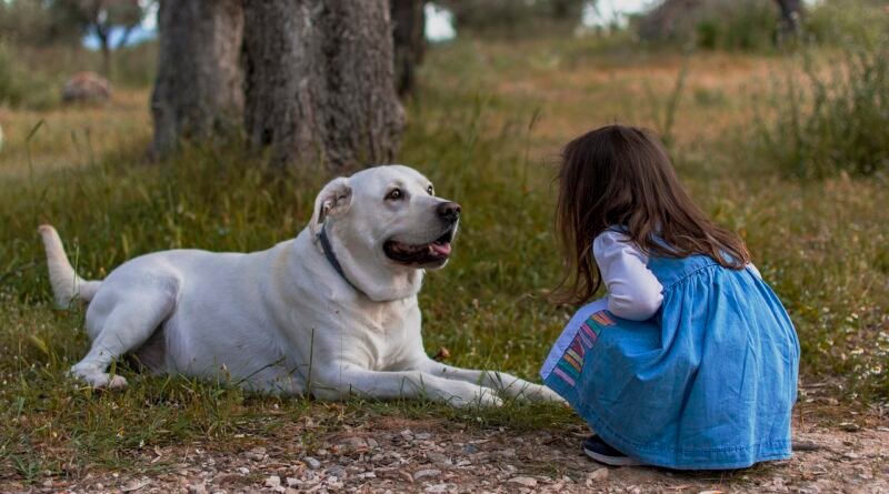 kid, dog, outdoors