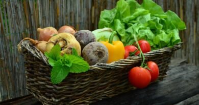 vegetables, basket, vegetable basket