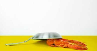 Gray Steel Cooking Pan Near Orange Lobster