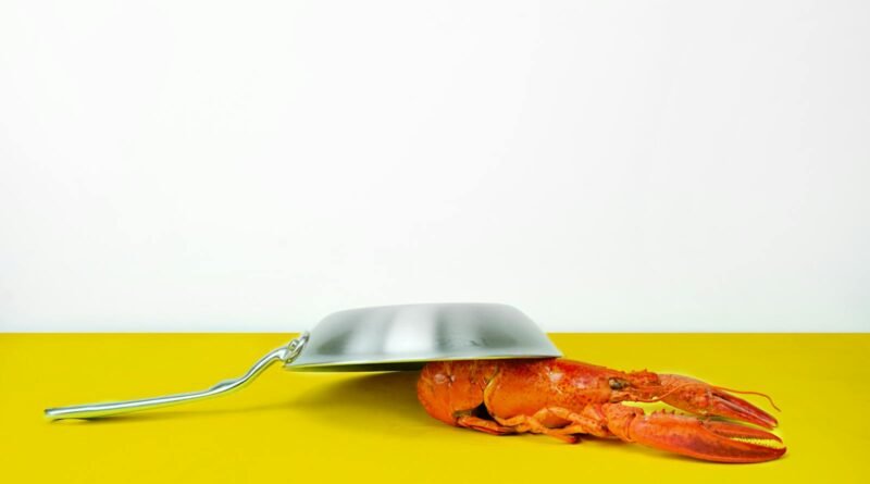 Gray Steel Cooking Pan Near Orange Lobster