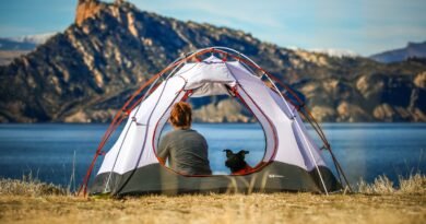 woman and a dog inside outdoor tent near body of water