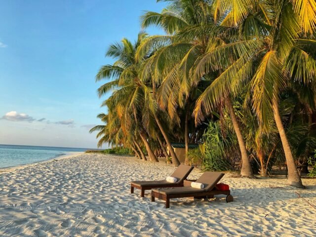 brown wooden bench on beach during daytime